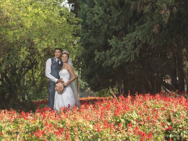 Casamentos de Beatriz & Roger