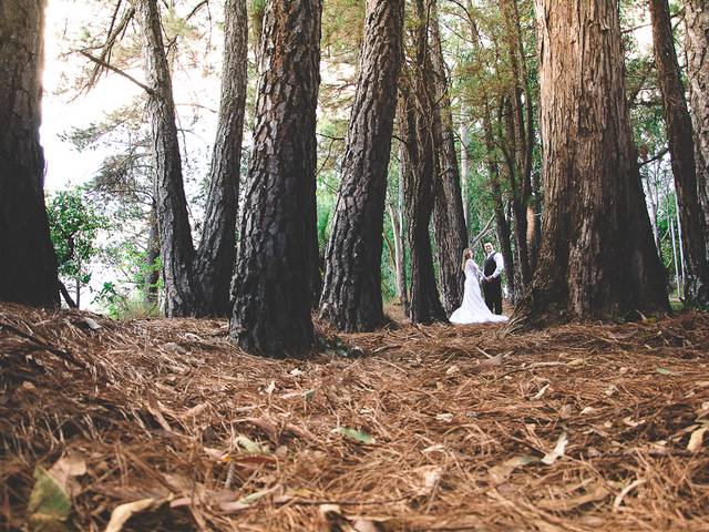 Casamentos de Amanda e Douglas