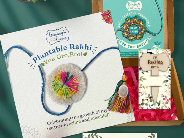 Home Decor of How to Choose a Plantable Rakhi Hamper for Your Brother
