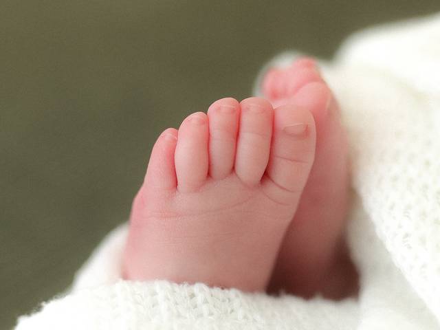 por Michelle Braga de Sophia 17 dias