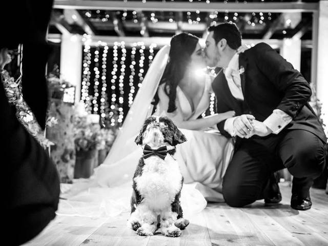 Casamentos de Alexia e Leandro