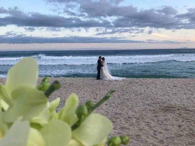 Casamentos de Daisy e Filipe