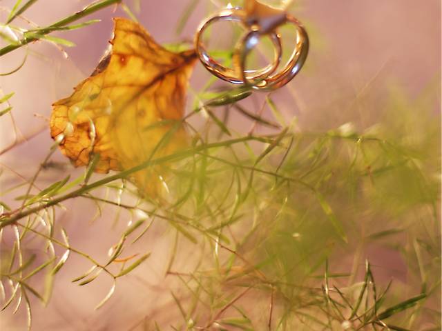 Casamentos de Rick & Ka