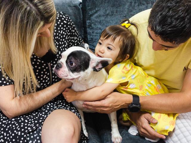 Família de Família Rodrigues