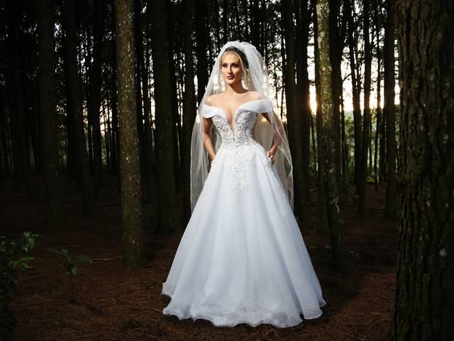 EDITORIAL de  A loba na floresta