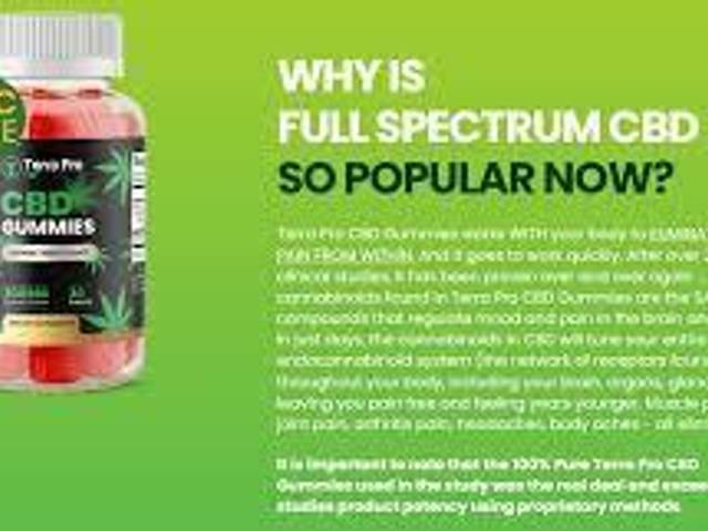 health of Terra Pro CBD Gummies Reviews - Truth! Must Read Before Buying? & Is It Right For You
