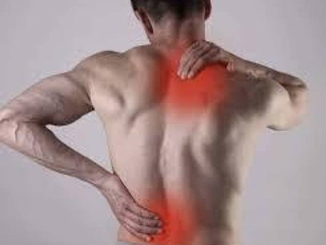 health of Golden Fountain Farms CBD Gummies Reviews: Honest Review, Health Benefits, and Side Effects (2025)