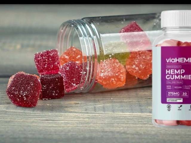 Health of https://www.facebook.com/profile.php?id=61576954528068