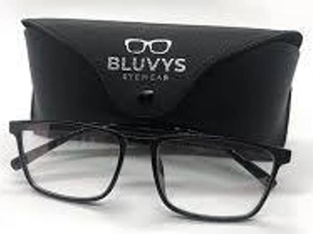 Bluvys Glasses of Bluvys Glasses YOU NEED TO KNOW!