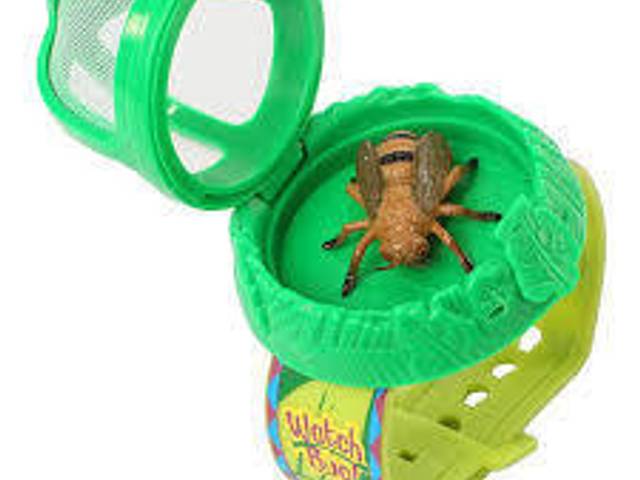 Bugg Watch of Bugg Watch You Need to Try This