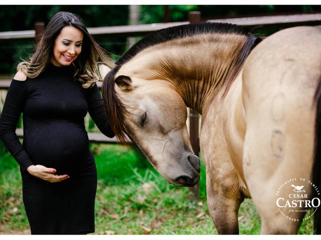 Gestantes de Ensaio familia Pena