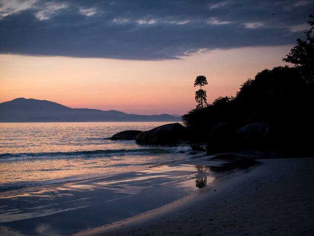 Gestantes de Ensaio Vidas - Momento mamãe e bebê com Ana Marmo
