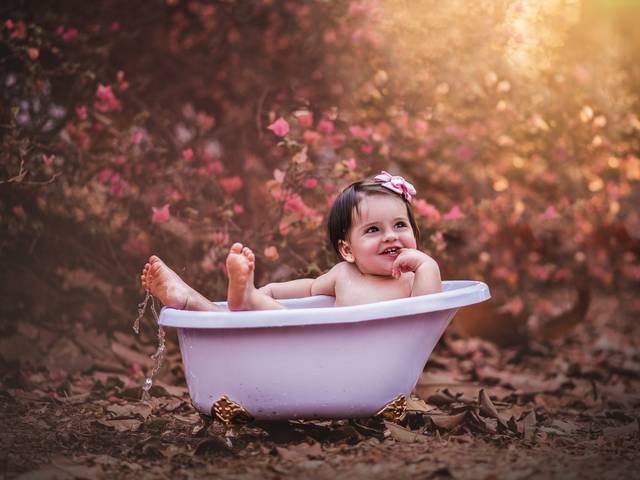 FAMÍLIA de SMASH THE CAKE ANA LUIZA