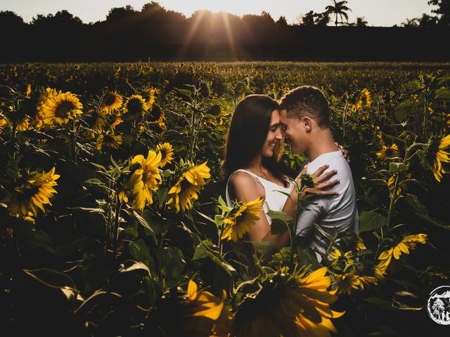 ENSAIOS de MARISTELI + WALLACE