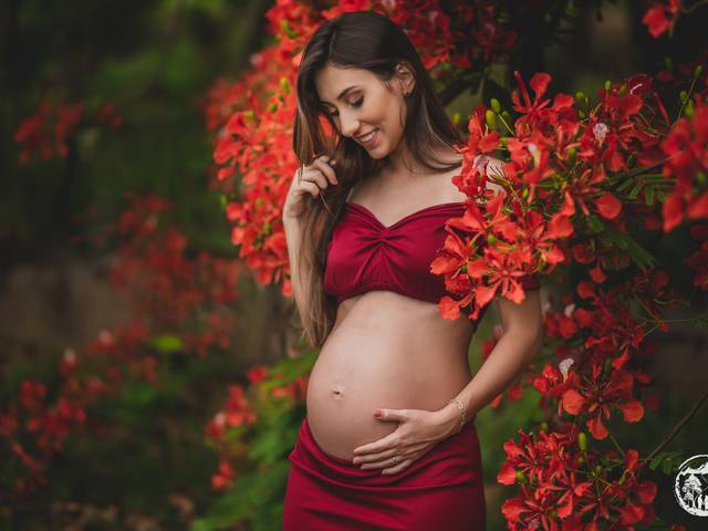 GESTANTE de À ESPERA DA ISABELA