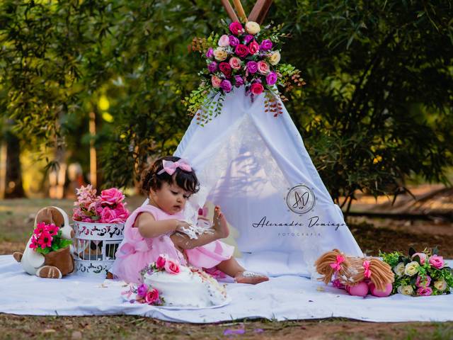 FAMÍLIA de Helena - Smash The cake