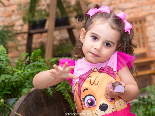 Aniversário Infantil de Tema Patrulha Canina | Sofia 3 anos