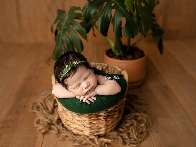 Newborn de Ensaio Newborn Nicolle