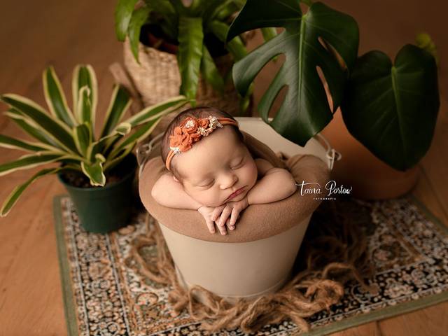 Newborn de Ensaio Newborn Helena 
