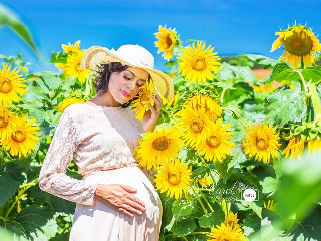 Gestantes de Ensaio gestante Jaqueline e José