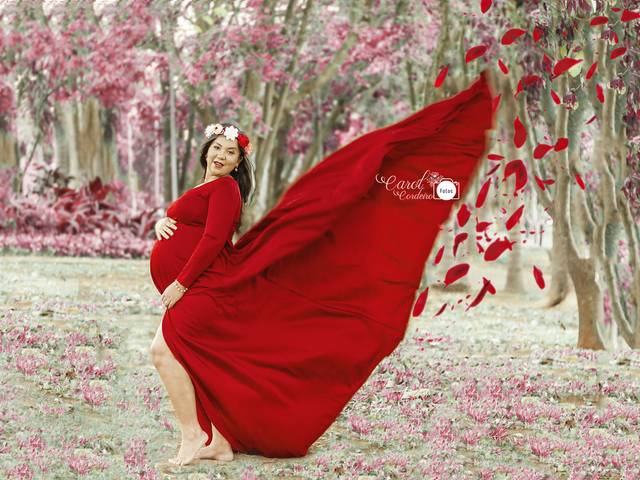 Gestantes de Ensaio gestante Vany