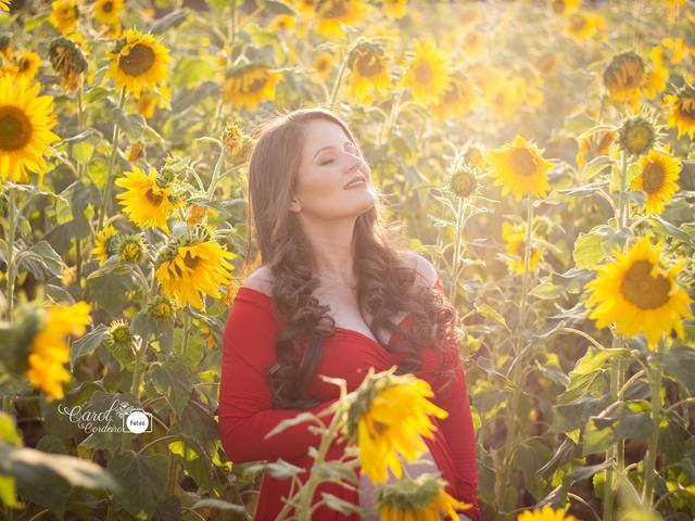 Gestantes de Ensaio gestante Gildete