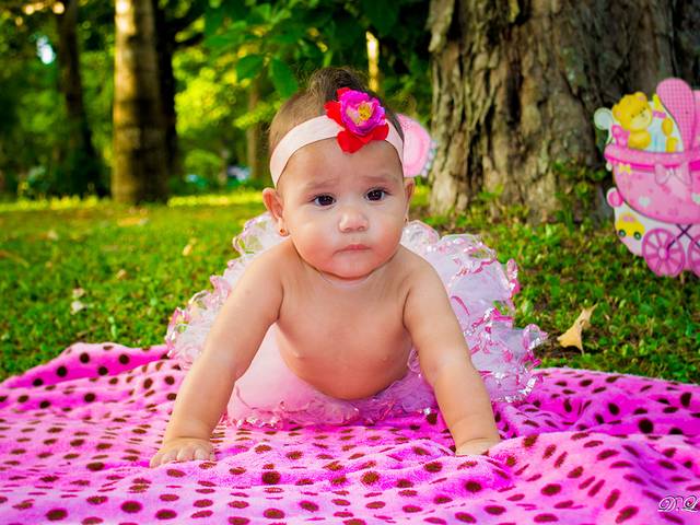 Ensaio de Sophia Smash the cake 8 meses