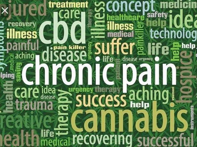 Health of Life Gold Farms CBD Gummies: A Natural Path to Wellness