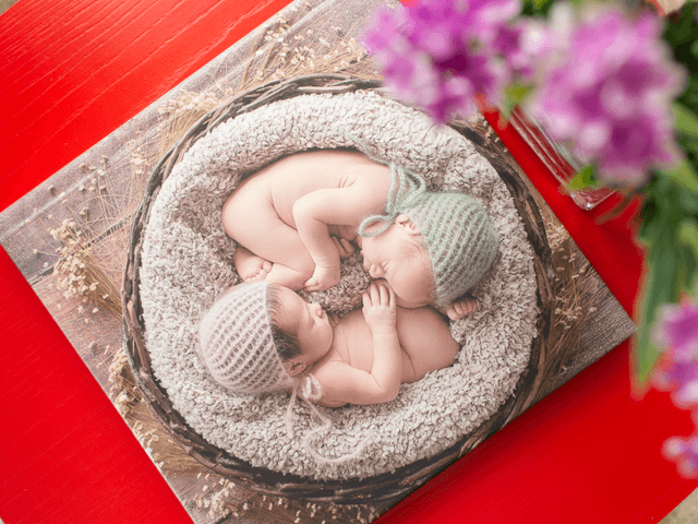 Álbuns de Life Foto