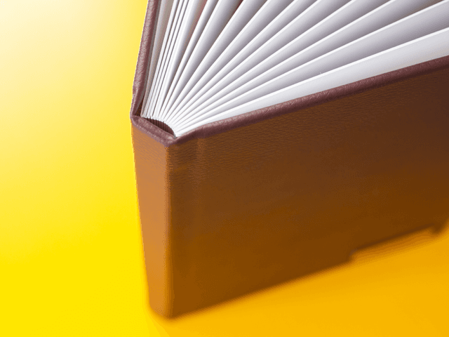 Álbuns de Couro Vinho