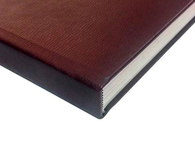 Álbuns de Couro Vinho