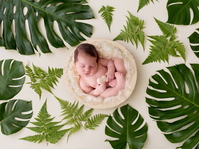 Newborn de Newborn Noah