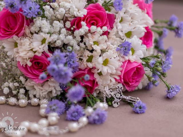 Casamento  de Casamento Janileusa e Tarcisio