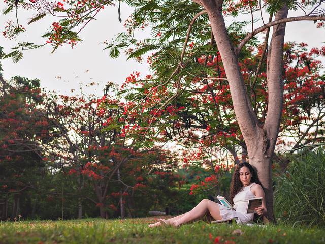 Ensaios de Ensaio 15 Anos Olga