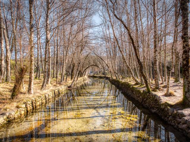 Paisagem de Paisagem Fantástica