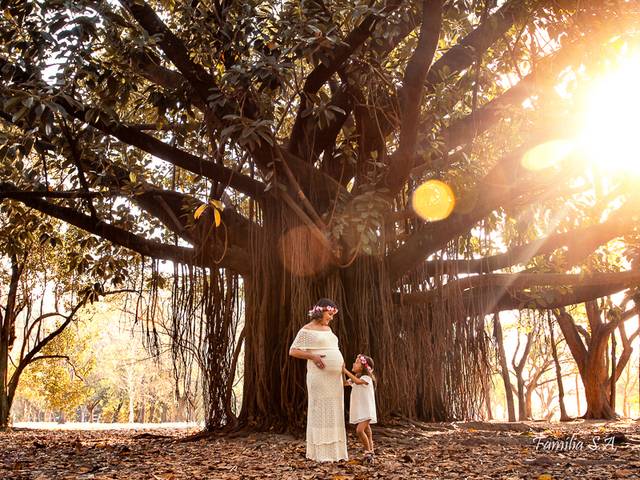 Gestante de Gestante