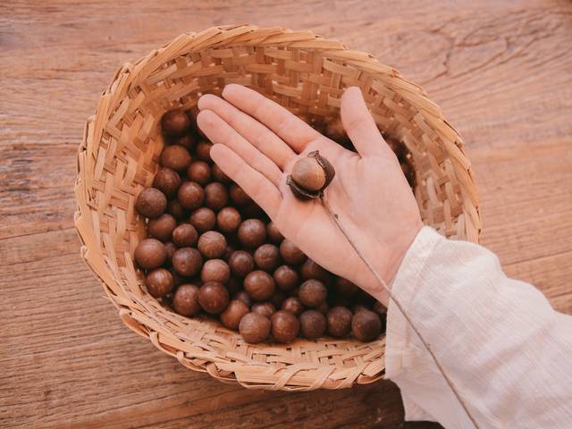 Fotografia Publicitária de Fazenda Retiro 1893