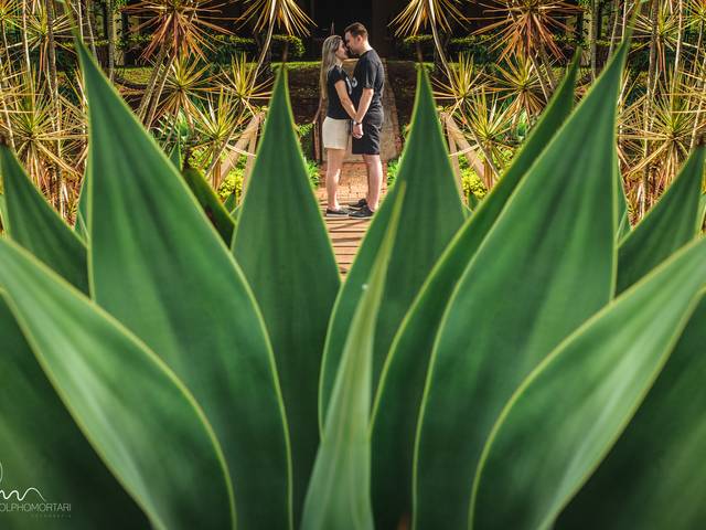 Pre Wedding de Carol e Alex