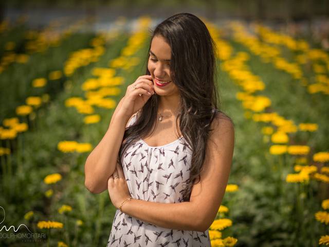 Pre 15 Anos de Laís Colen