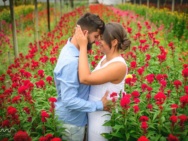 Pre Wedding de Paloma e Alceu