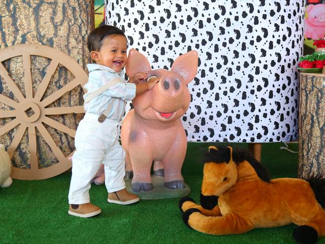Aniversário infantil de Pedro 1 Aninho