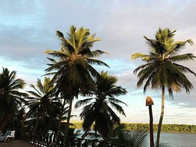 CLIPES de Fortim - PROMOCIONAL