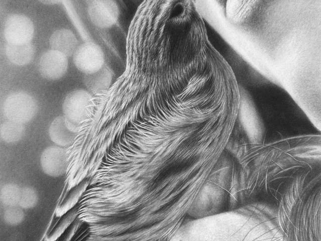 Desenho realista de O beijo do pássaro