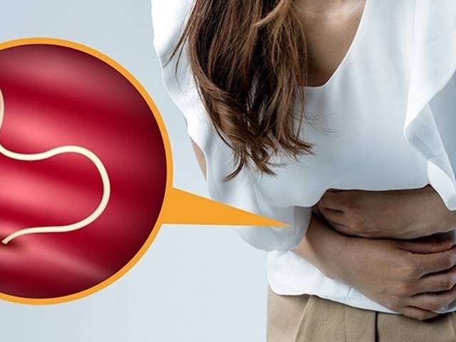 Health of Buy Para911 in Australia Canada Natural Heart Health Support