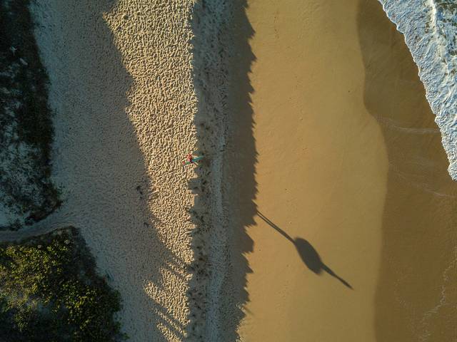 Trip de Surfista