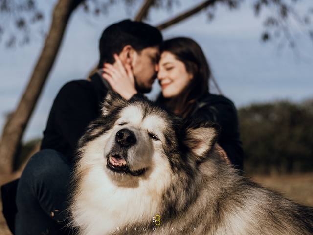 Ensaios Pré Wedding de Bia e Rodrigo