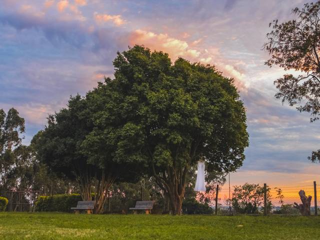 Casamentos de ALINE & RICARDO