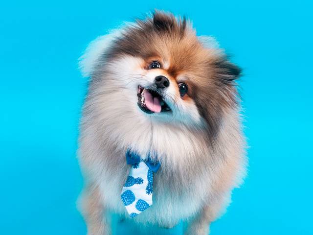 KIDS de Happy Birthday Buddy 5 years