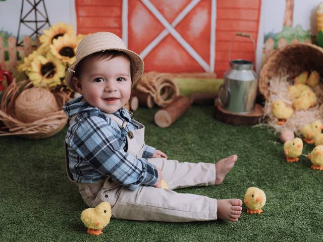 Investimento de Acompanhamento Mensal