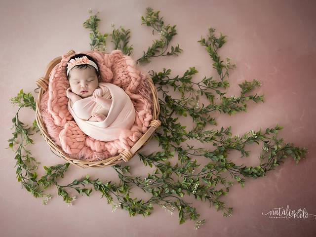 Newborn de Ensaio de Recém-Nascido - Maria Cecília